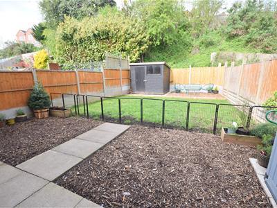 Picture 15